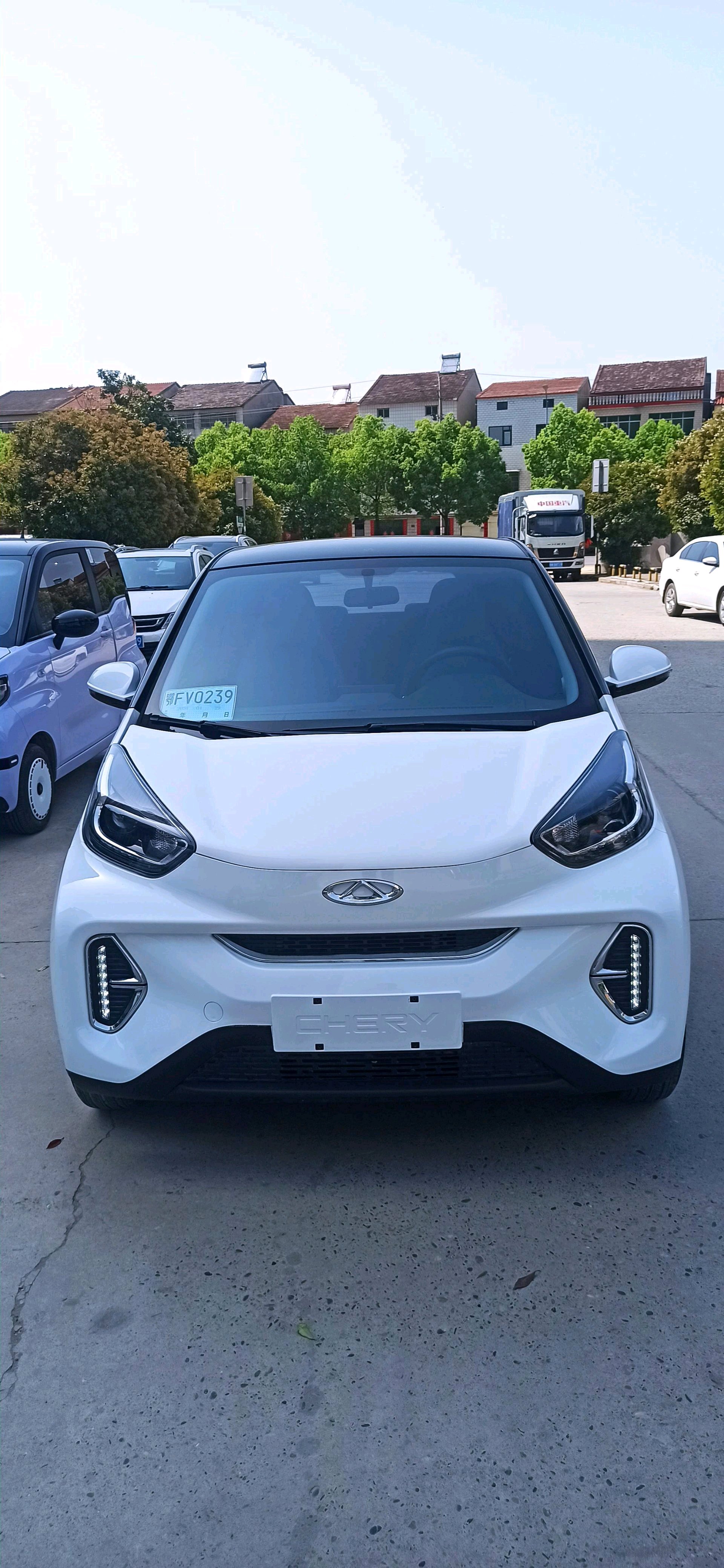 Chery 2024 eQ1 (Little Ant) 251km Classic True Love Edition
