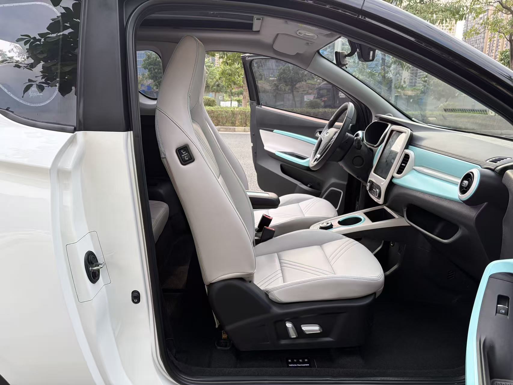Chery 2021 eQ1 200,000 Ant Powder Edition Vitality Version Ternary Lithium 408km