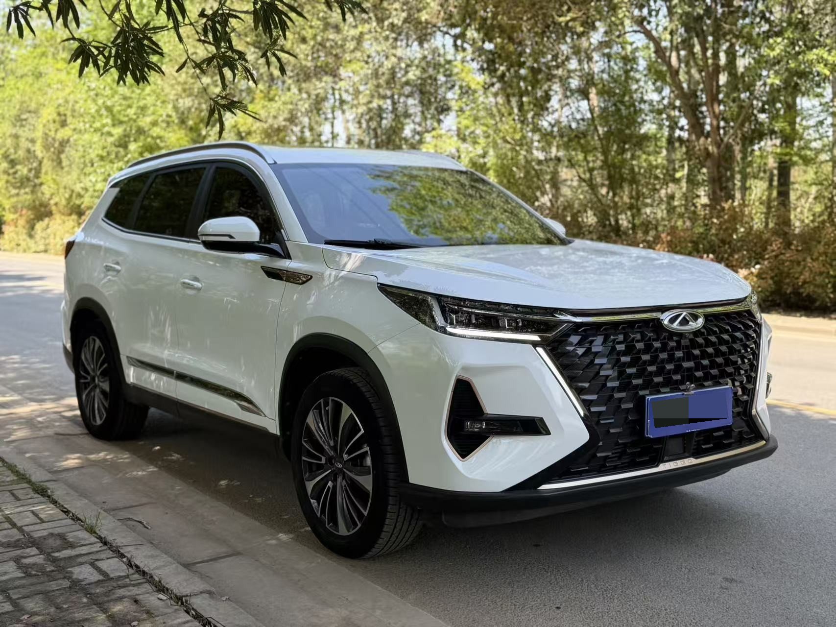 Chery 2022 Tiggo 8 PRO 2.0T 390T 2WD Haohan Edition 5-Seater