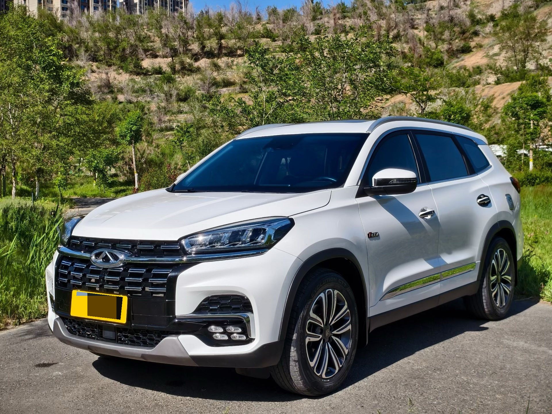 奇瑞 2019款 瑞虎8 1.6TGDI 290TGDI 豪华型