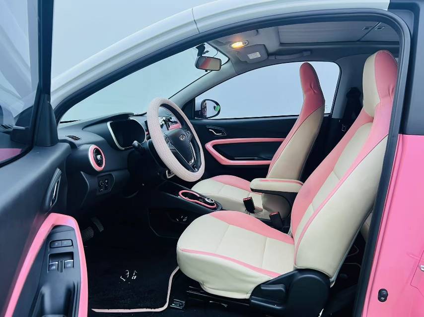 Chery 2021 eQ1 150,000 Ant Powder Edition New Ant Xuan Edition Lithium Iron Phosphate (Facelift)