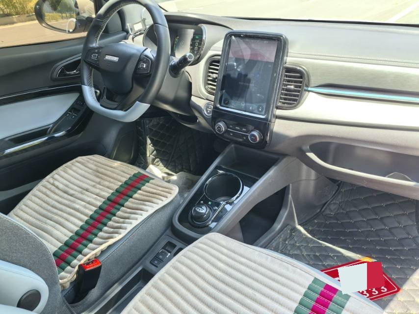 Chery 2022 eQ1 Sweet Pink Half Sugar Edition Ternary Lithium 30kW 301km (Facelift)