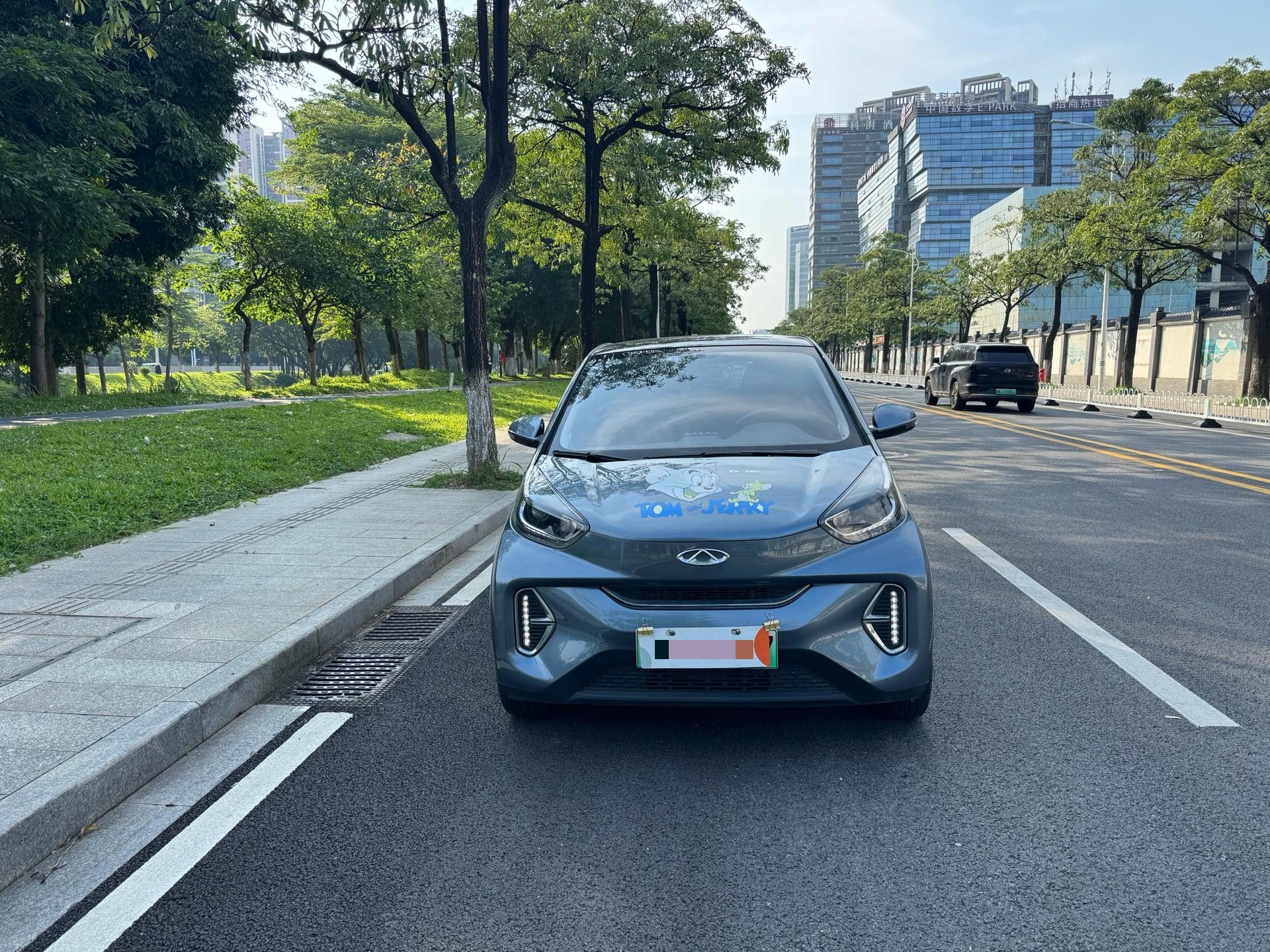 Chery 2023 eQ1 (Little Ant) 251km Passion Edition LFP