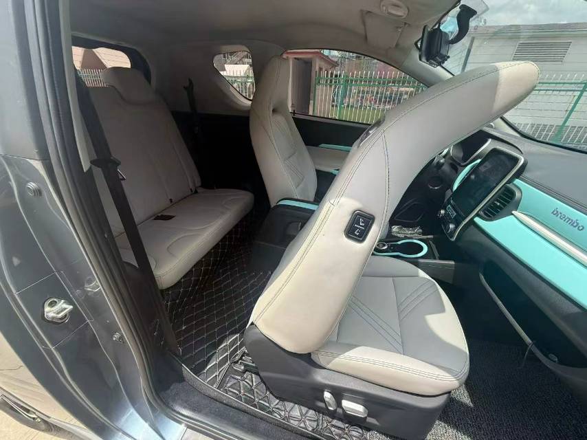 Chery 2021 eQ1 200,000 Ant Powder Edition Vitality Version LFP 301km