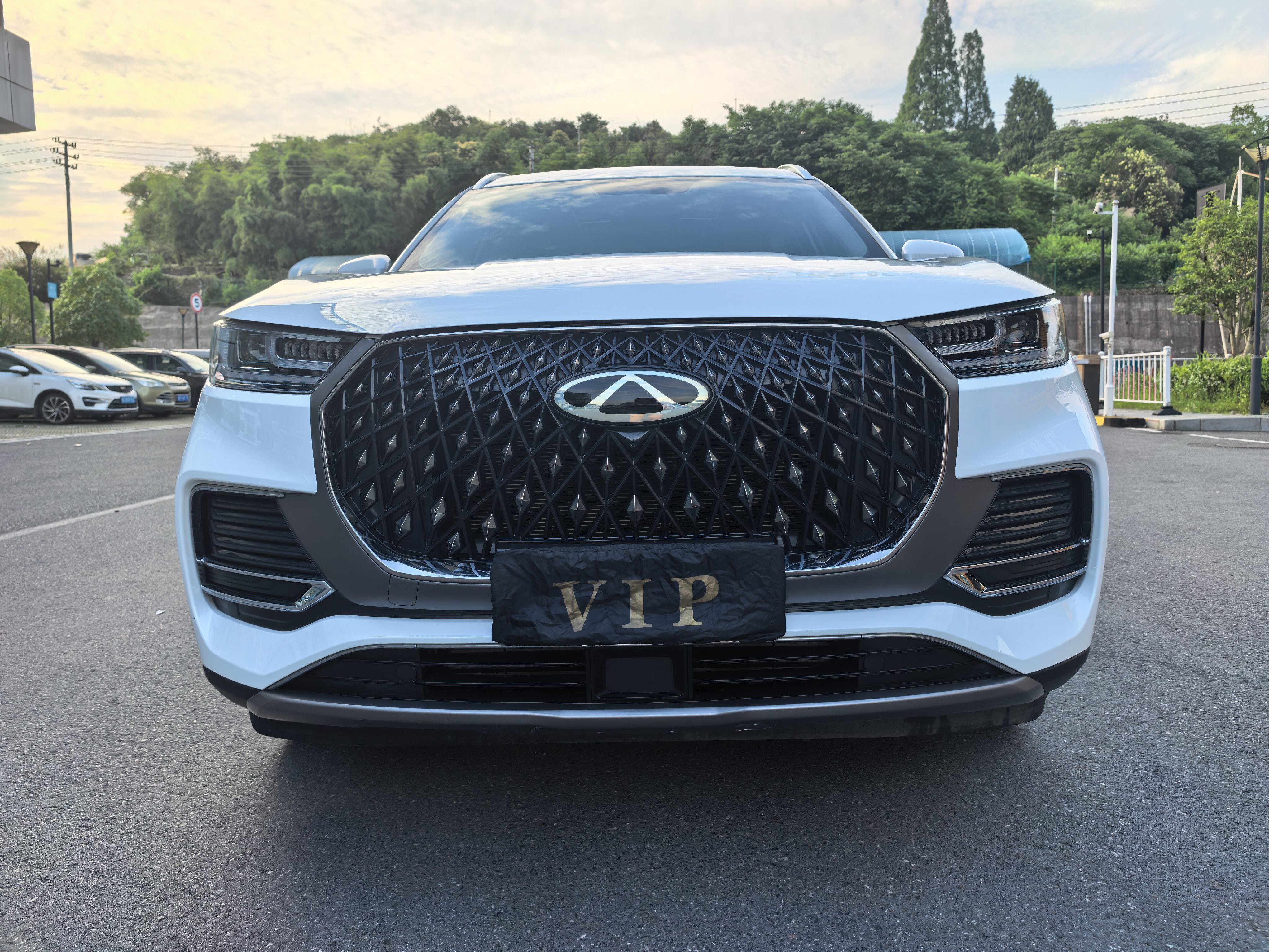 Chery 2024 Tiggo 8 PLUS 1.6TGDI 290TGDI Champion Edition Haoxiang 7-Seater