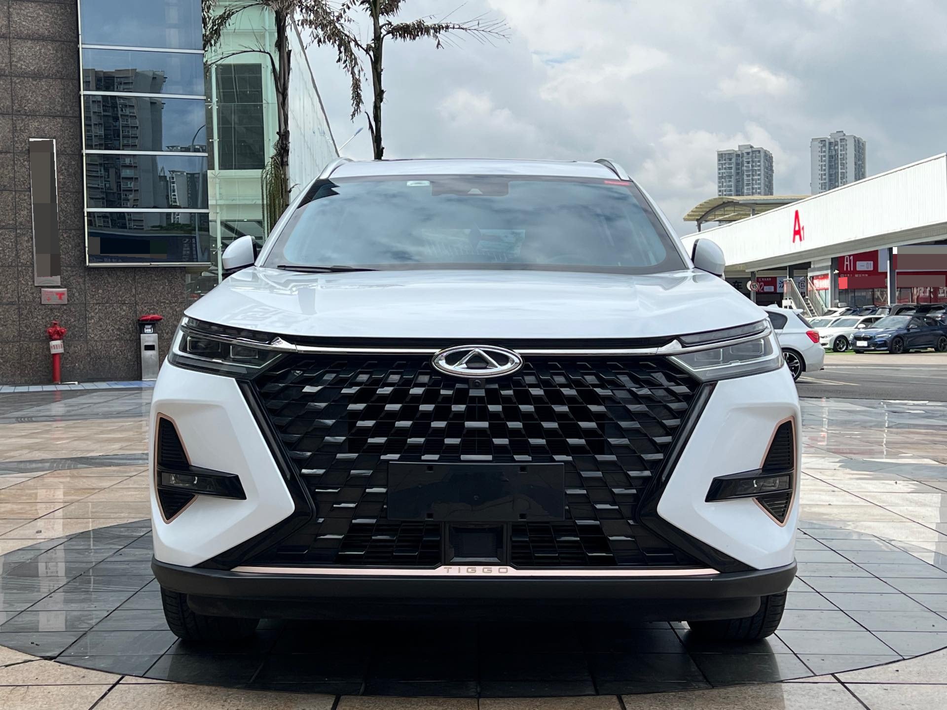 Chery 2022 Tiggo 8 PRO 2.0T 390T 2WD Haohan Edition 7-Seater