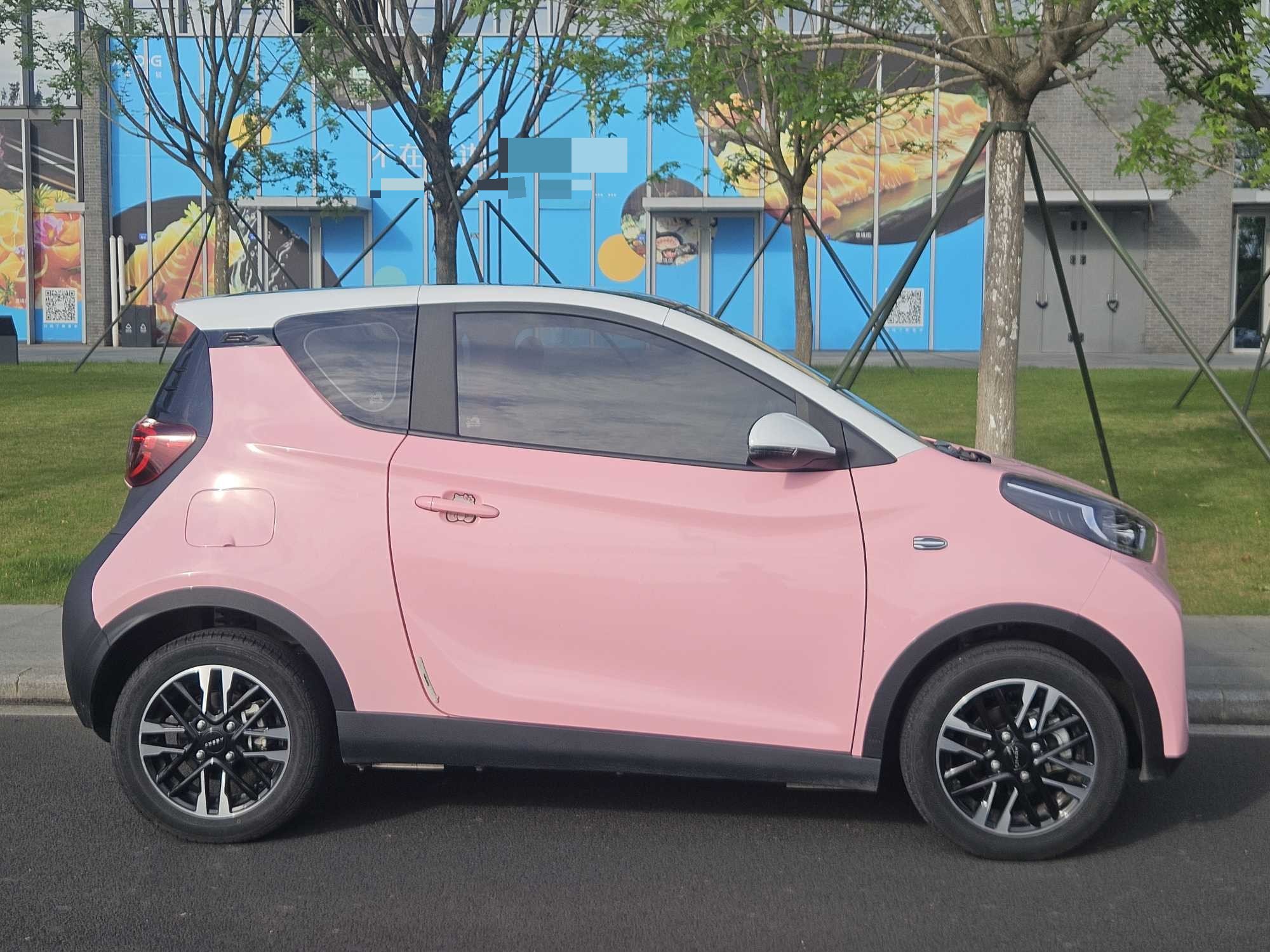 Chery 2023 eQ1 (Little Ant) 251km True Love Edition LFP
