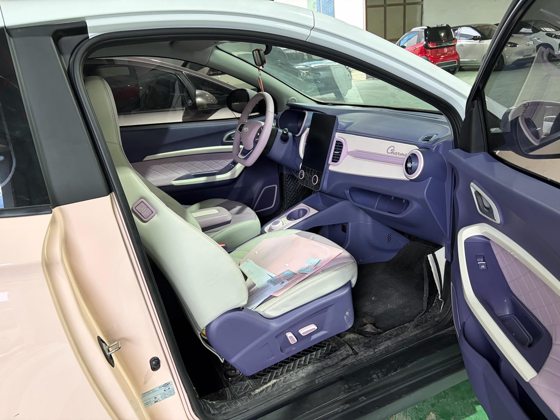 奇瑞 2022款 eQ1 甜粉款 全糖版 磷酸铁锂 30.7kWh 30kW 301km(改款二)