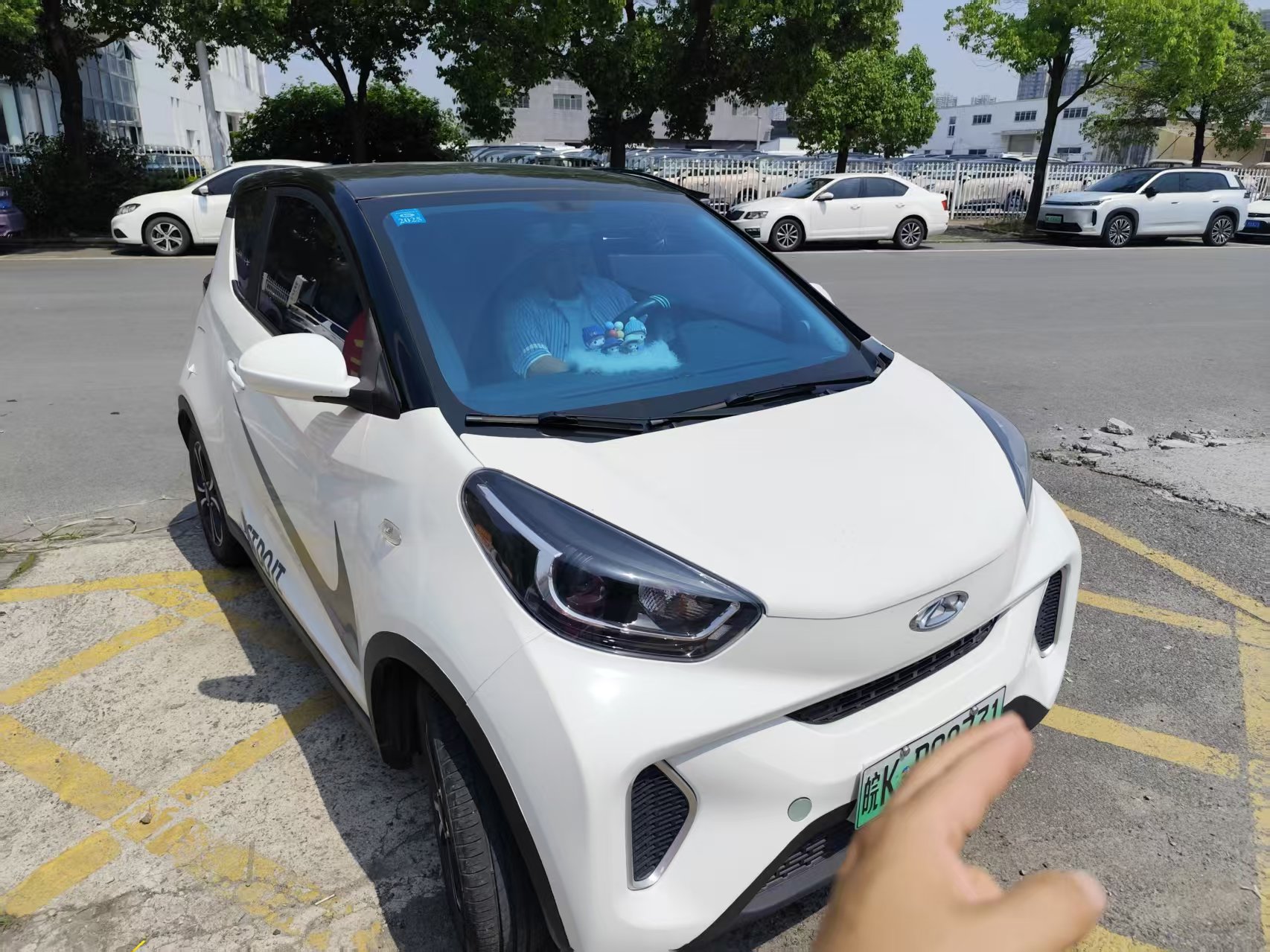 Chery 2021 eQ1 200,000 Ant Powder Edition Caiqi Edition Ternary Lithium 301km
