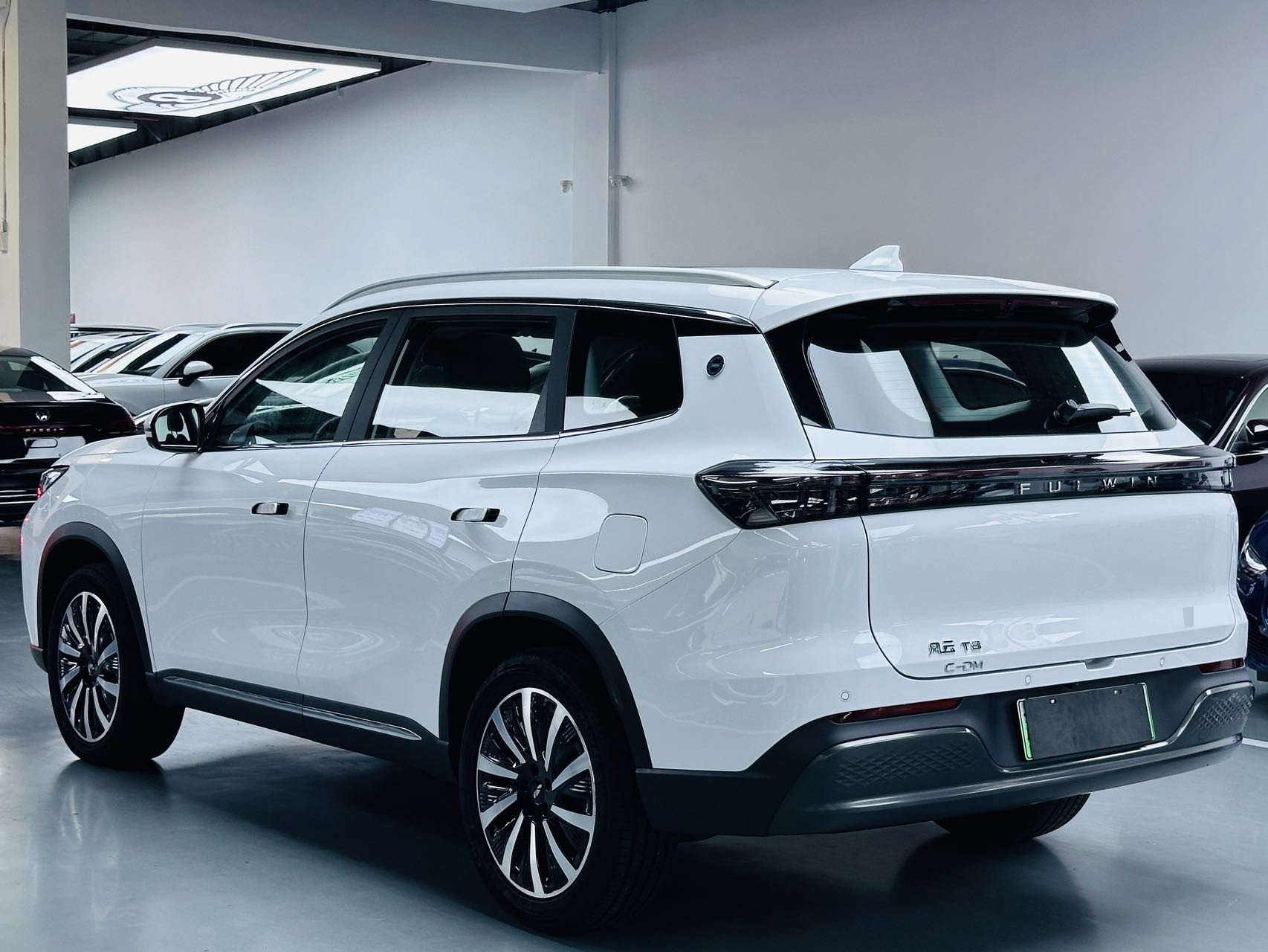 Chery 2025 Fengyun T8 1.5T 130km Luxury 5-Seater