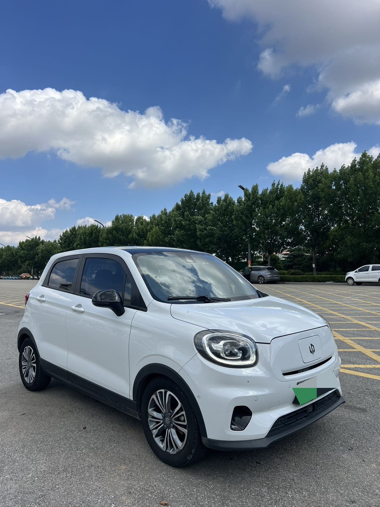 Leapmotor 2021 T03 400 Luxury