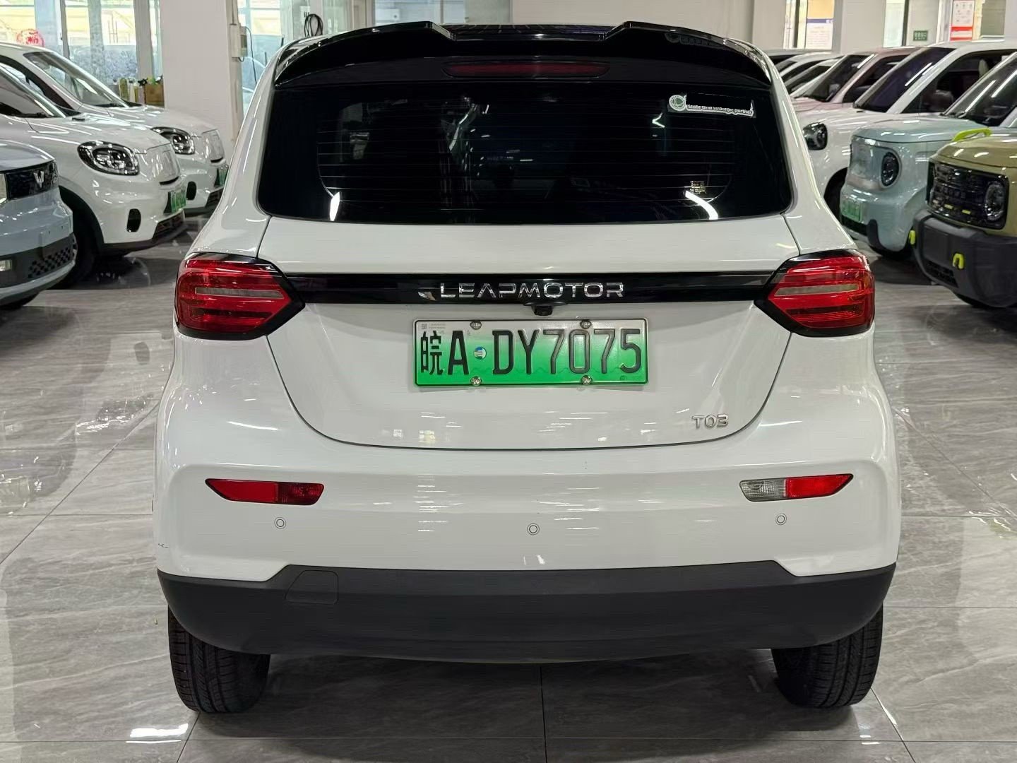 Leapmotor 2020 T03 400 Luxury Edition