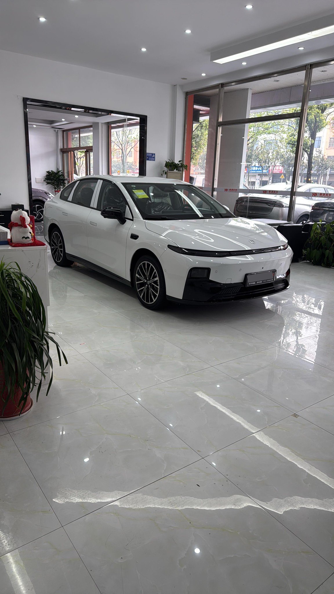 Leapmotor 2025 B01 550 Zhixing Edition