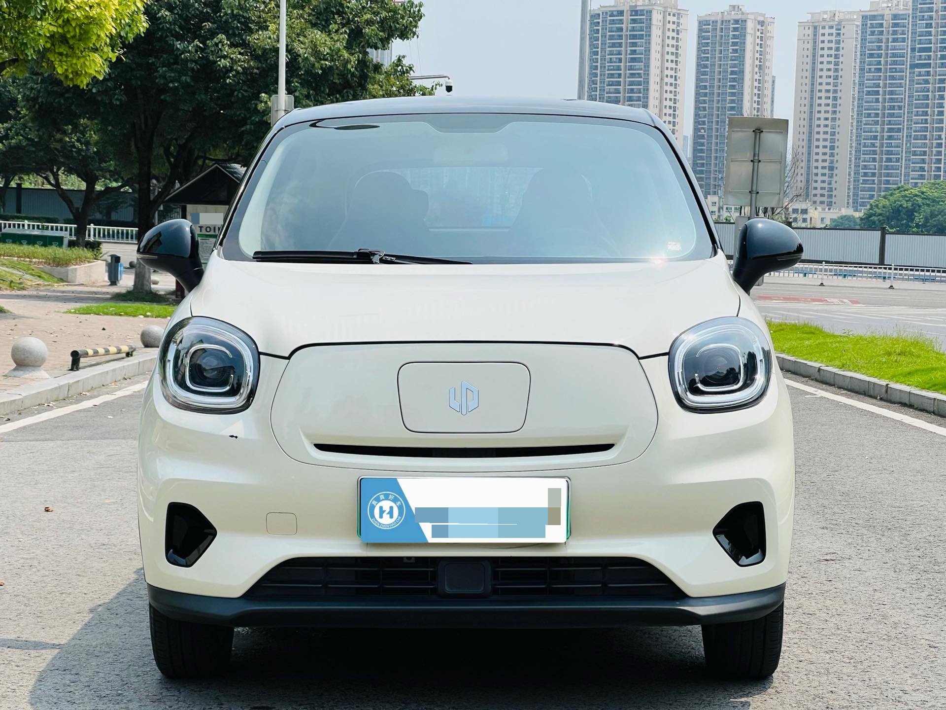 Leapmotor 2022 T03 Haoyu Edition