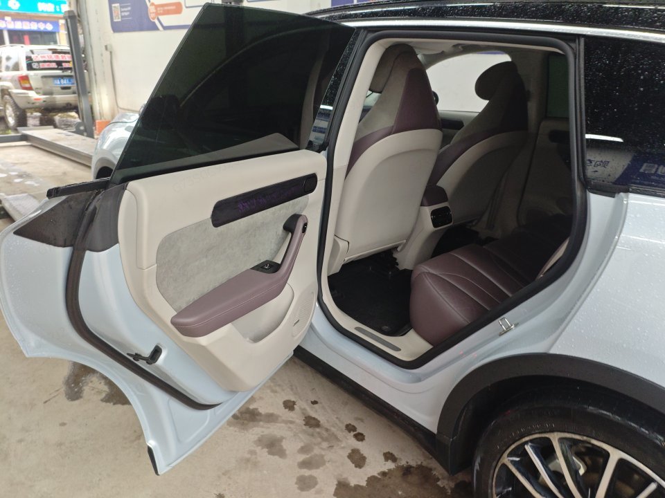 Leapmotor 2021 C11 Premium