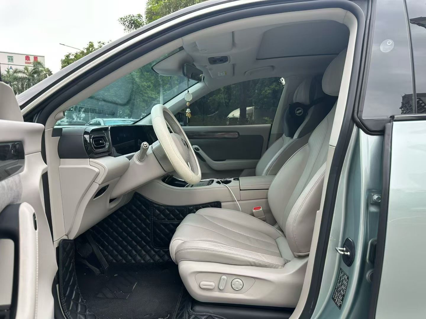 Leapmotor 2021 C11 Premium Edition