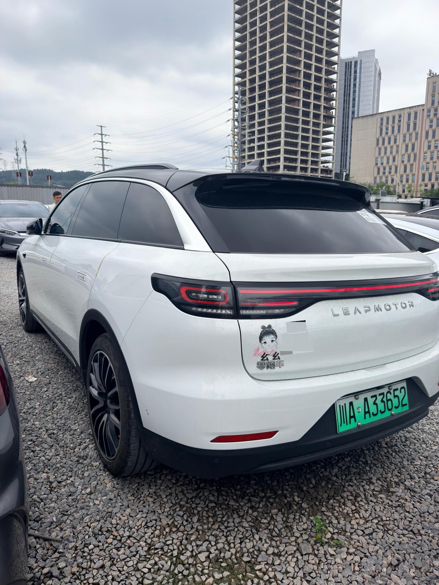 Leapmotor 2021 C11 Luxury Edition