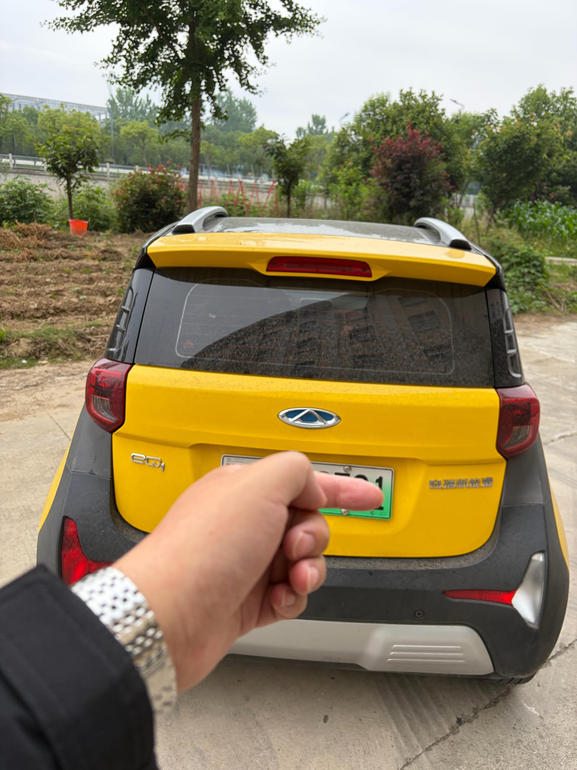 Chery 2021 eQ1 200,000 Ant Powder Edition Vitality Version Ternary Lithium 301km