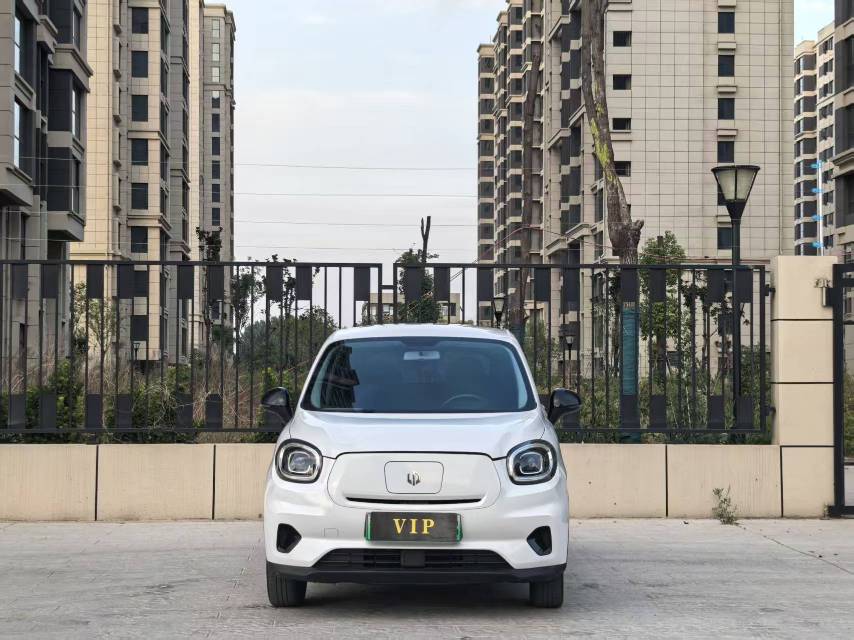 Leapmotor 2022 T03 Special Edition