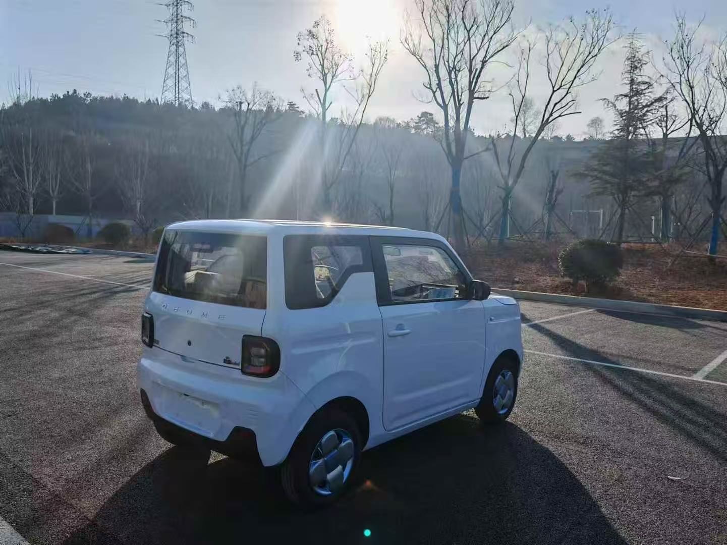 吉利 2024款 熊猫MINI 200km 耐力熊