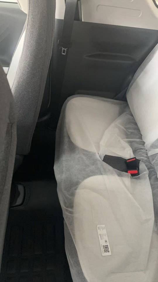 Geely 2025 Panda Mini 210km Yuanqi Xiong