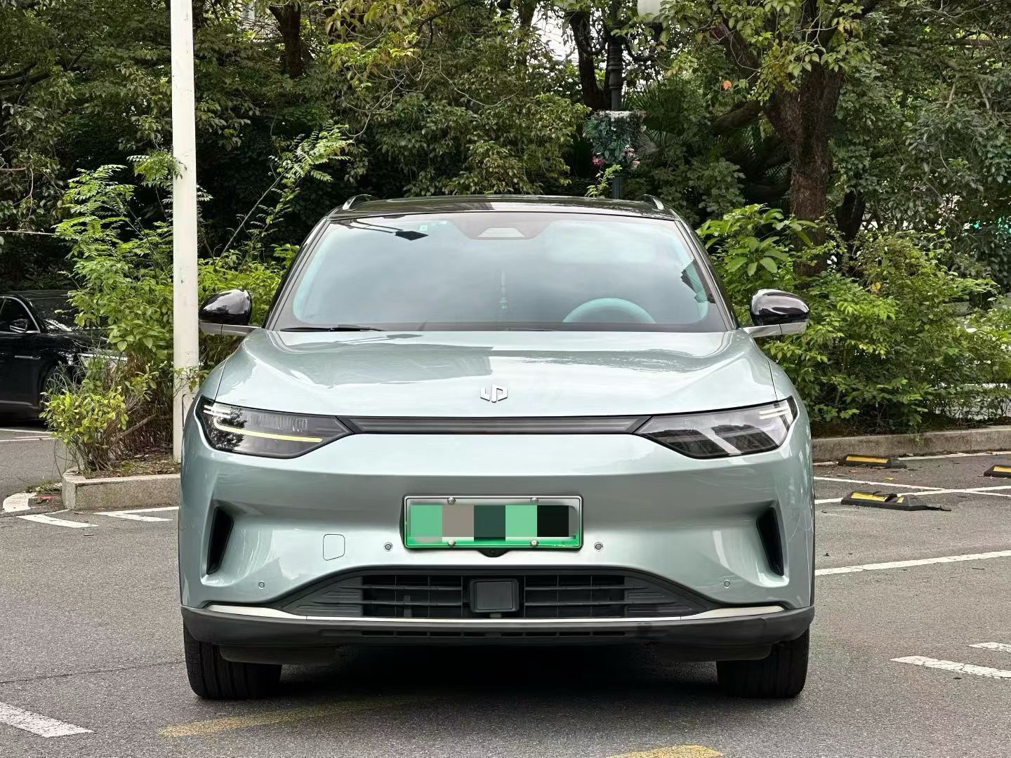 Leapmotor 2021 C11 Premium Edition