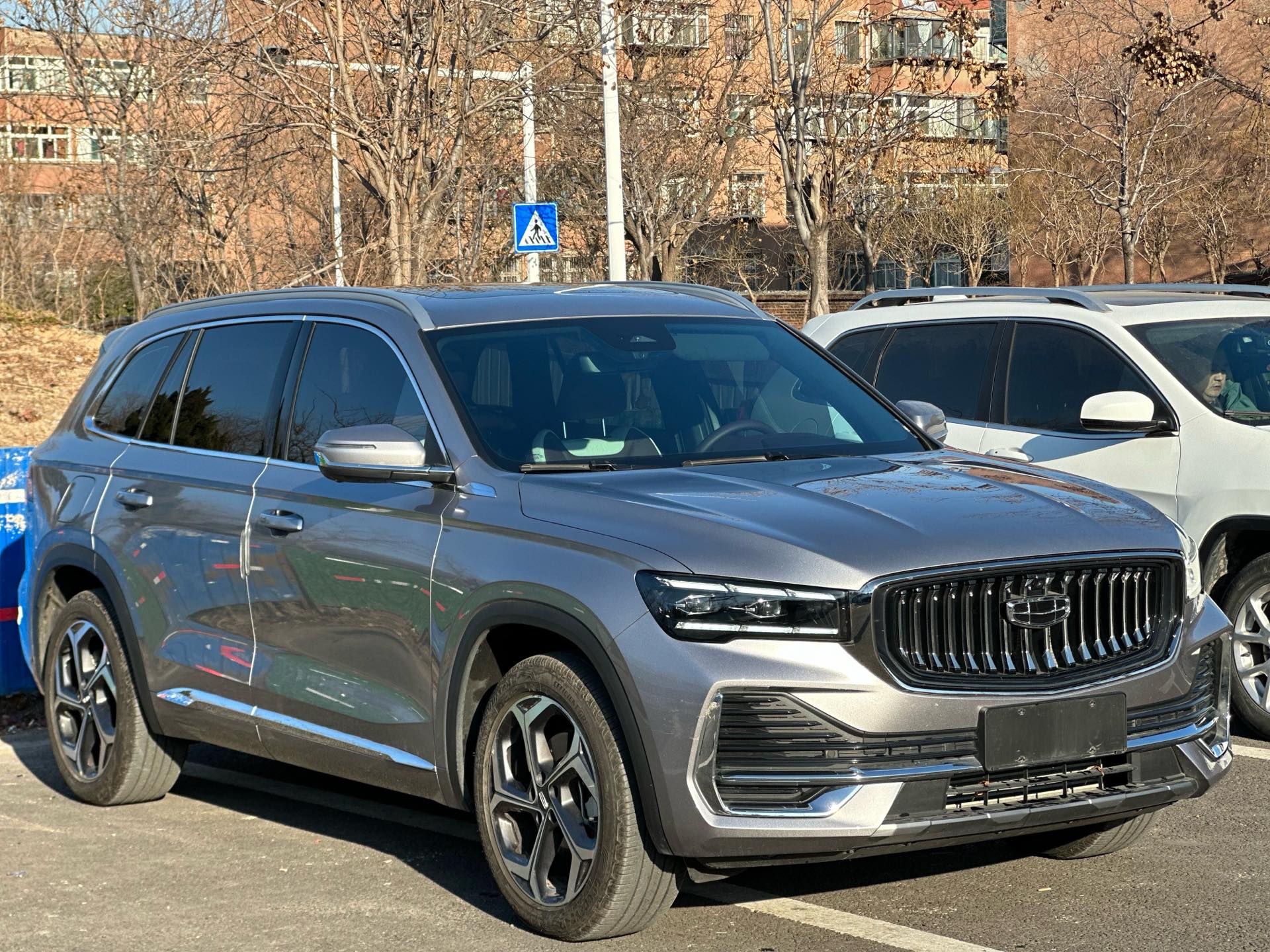 吉利 2021款 星越L 2.0TD EVO两驱尊贵型