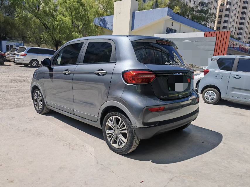 Leapmotor 2021 T03 400 Weitang Edition