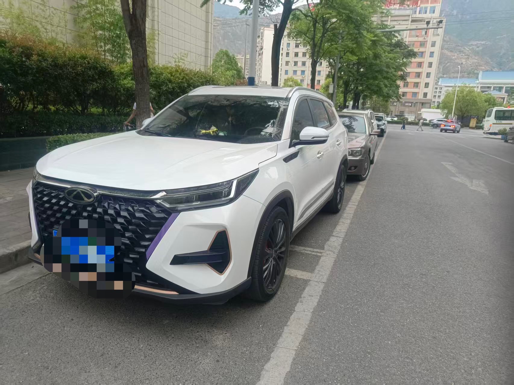 Chery 2024 Tiggo 8 PRO 2.0T 390T Champion Edition 2WD Peak 5-Seater