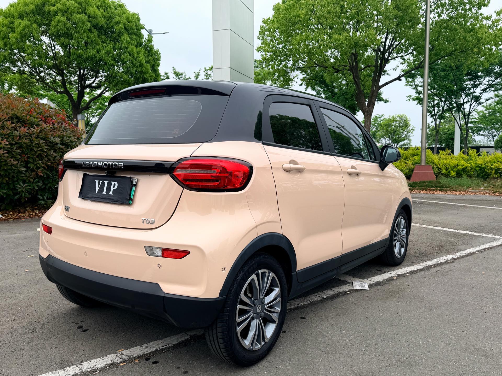 Leapmotor 2022 T03 Special Edition