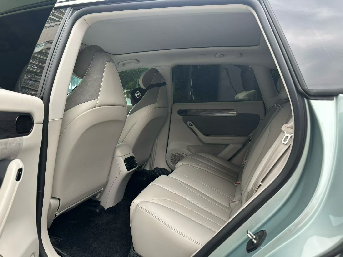 Leapmotor 2021 C11 Premium Edition