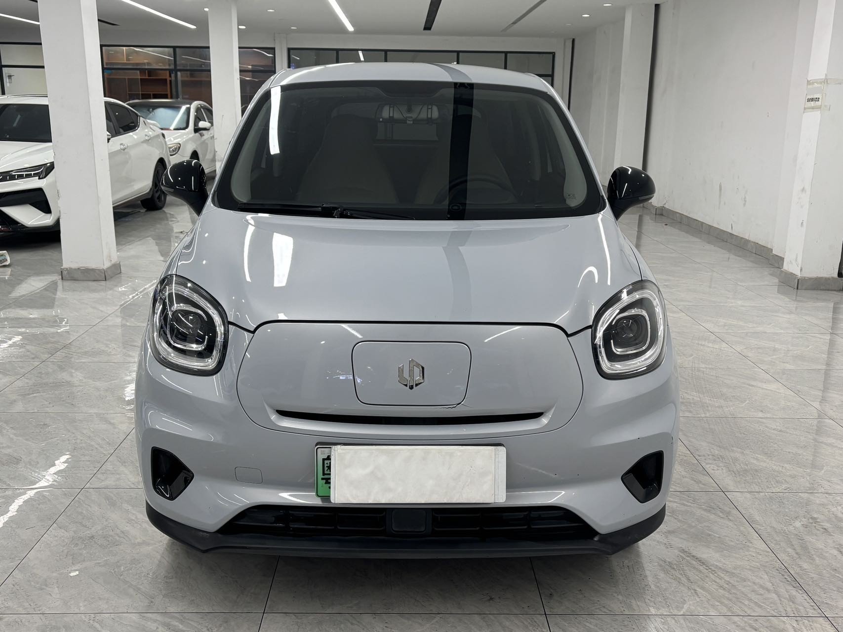 Leapmotor 2023 T03 310 Fenxiang Edition