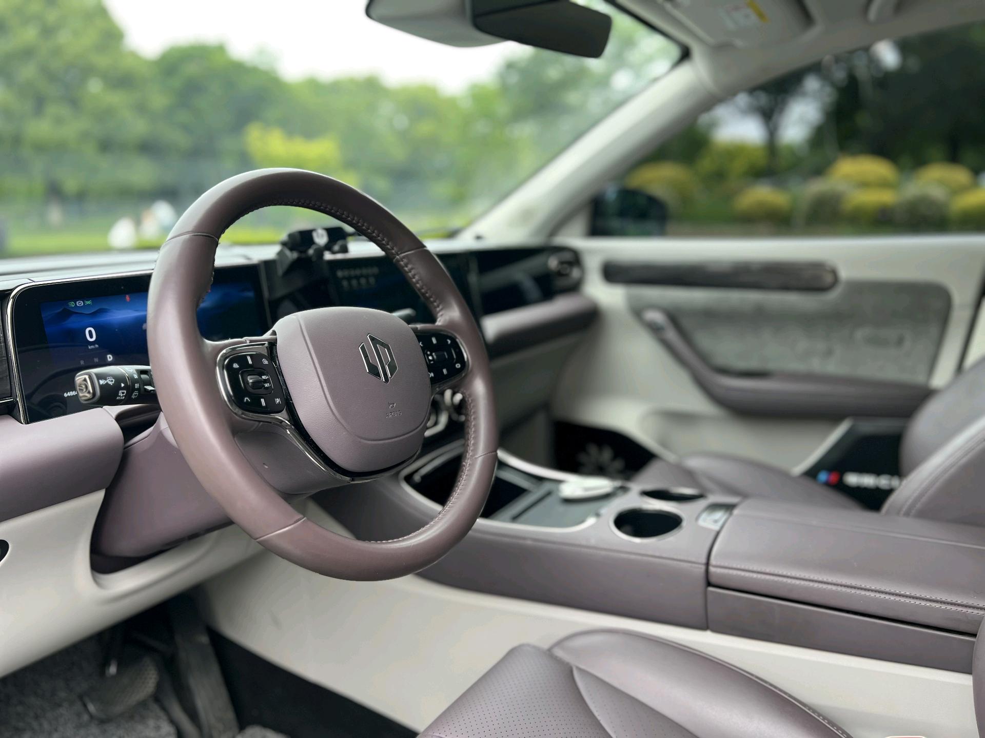 Leapmotor 2021 C11 Premium Edition