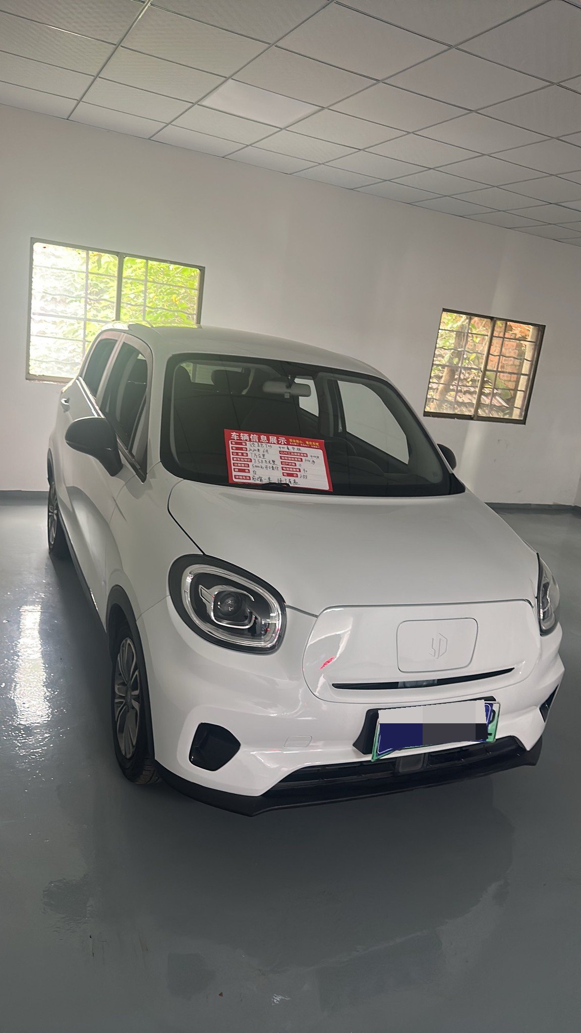 Leapmotor 2020 T03 400 Standard