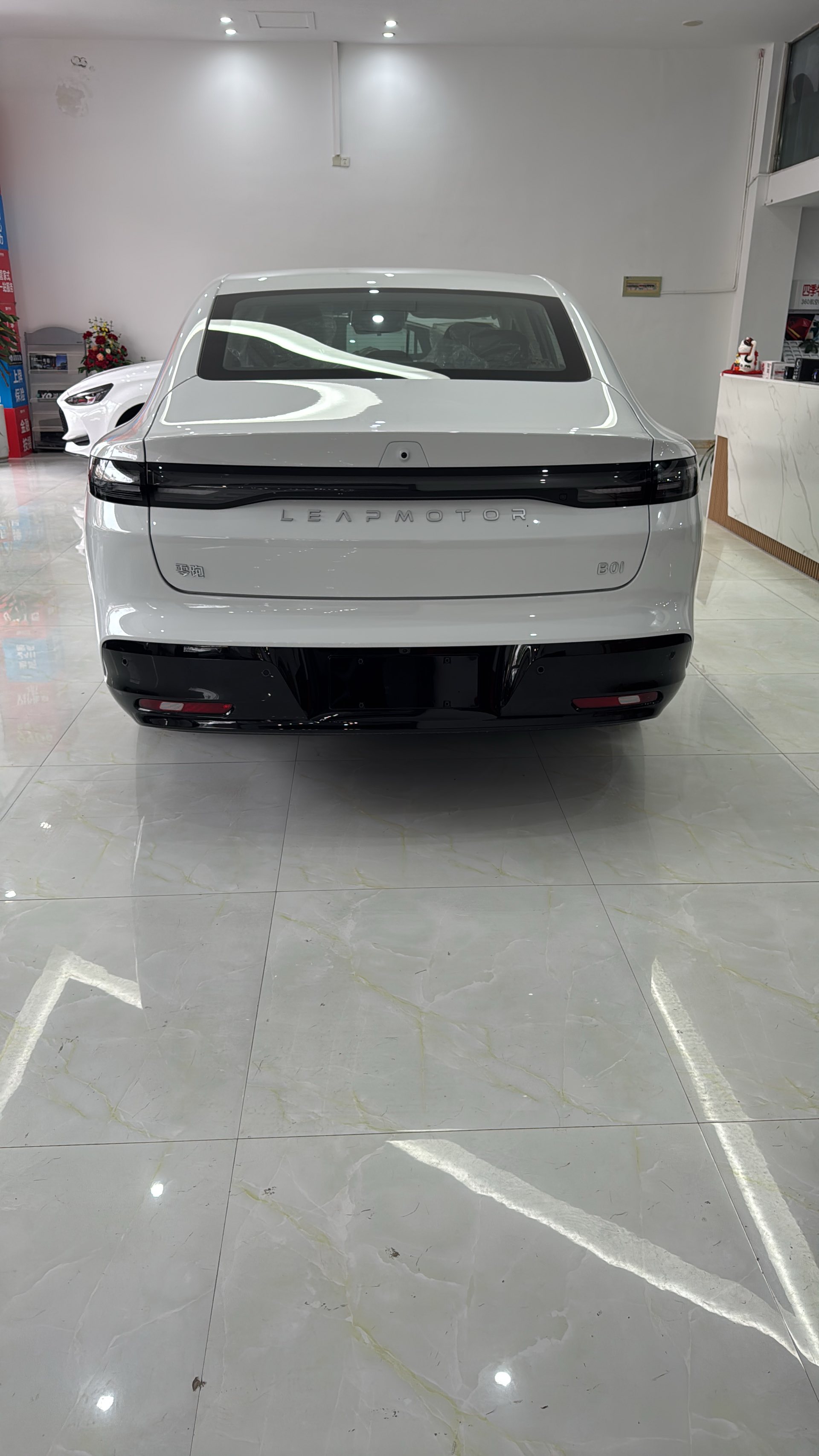 Leapmotor 2025 B01 550 Zhixing Edition
