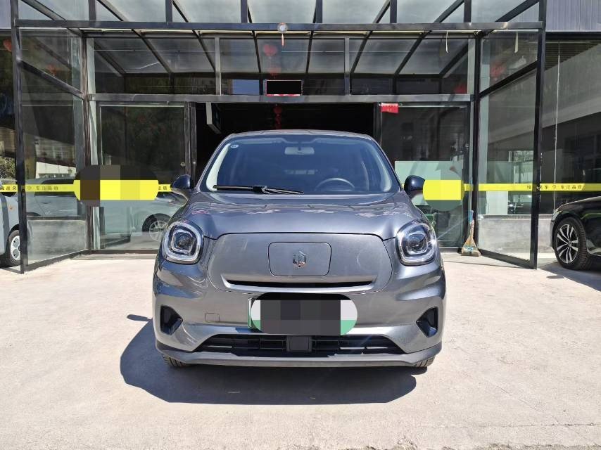 Leapmotor 2021 T03 400 Weitang Edition