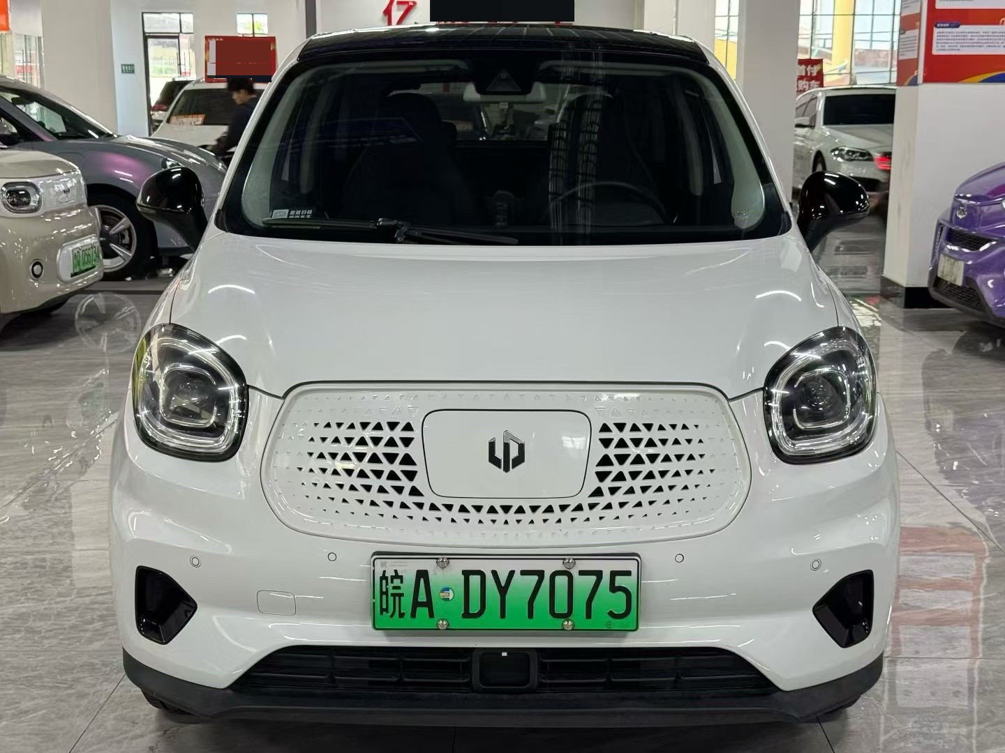 Leapmotor 2020 T03 400 Luxury Edition