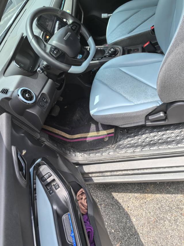 Chery 2022 eQ1 Sweet Pink Half Sugar Edition LFP 30kW 301km (Facelift)