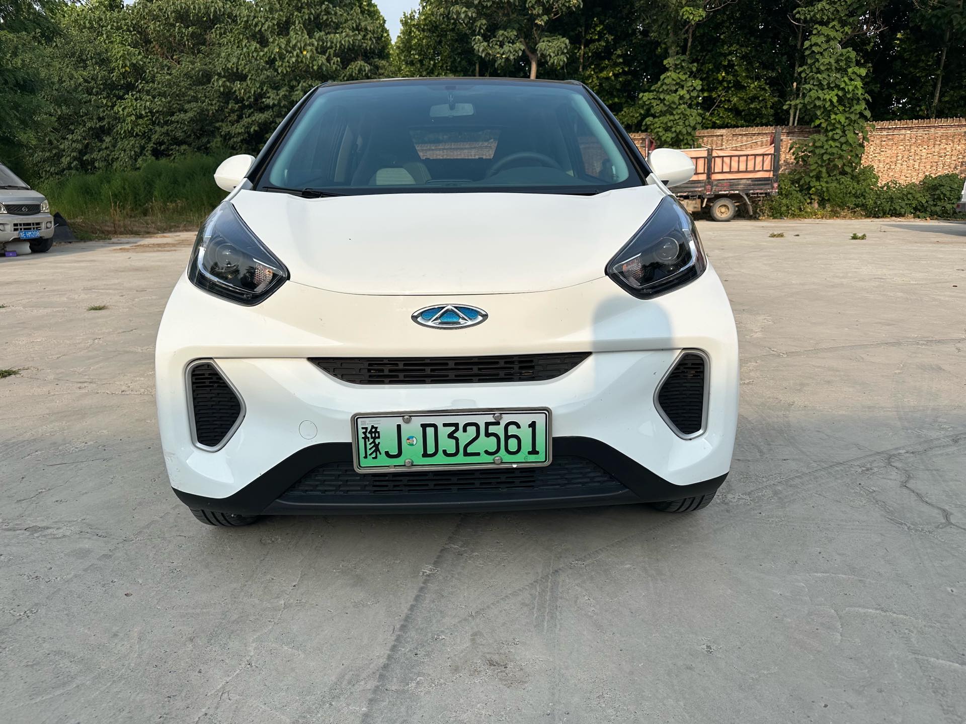 Chery 2021 eQ1 200,000 Ants Powder Edition Caiqi Edition Ternary Lithium 301km
