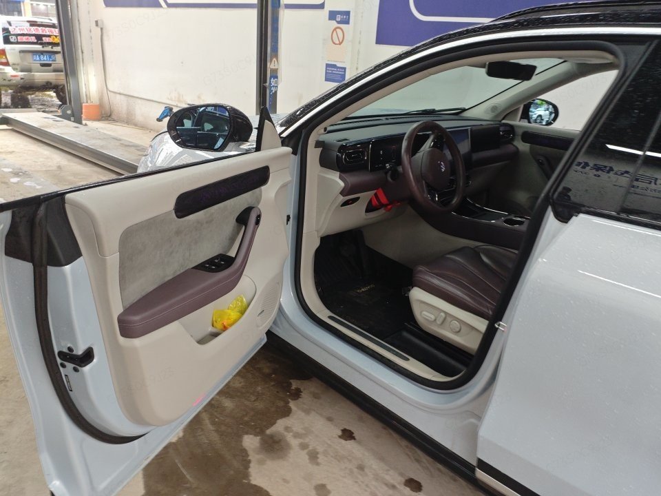 Leapmotor 2021 C11 Premium