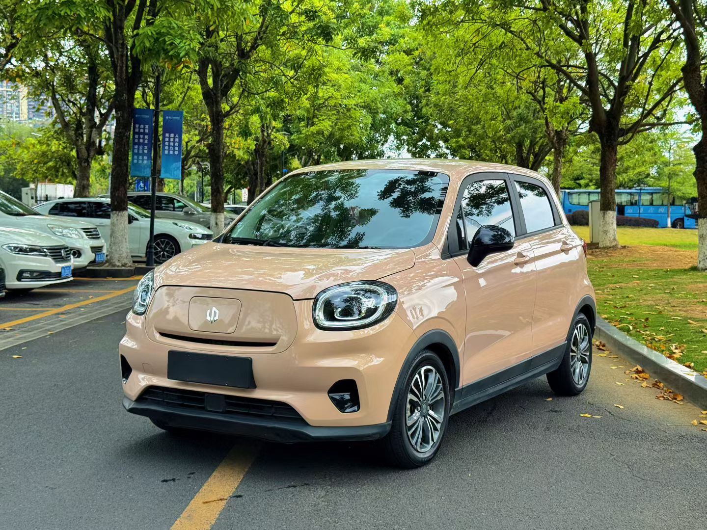 Leapmotor 2022 T03 Special Edition