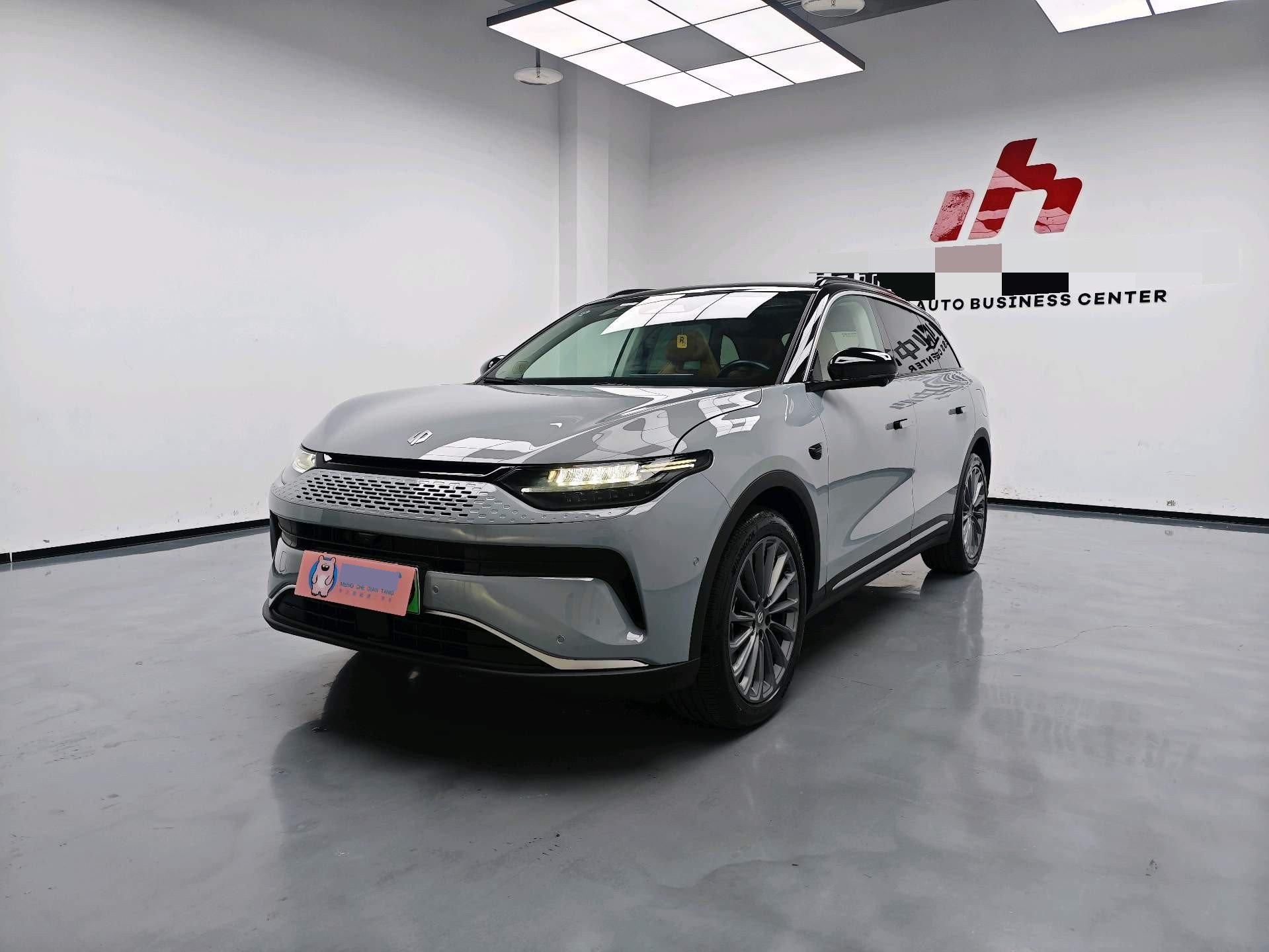 Leapmotor 2024 C11 300 Deluxe Edition
