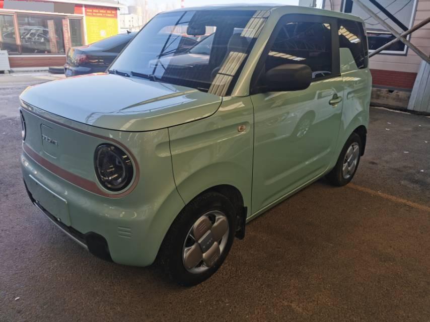 吉利 2023款 熊猫MINI 200km 耐力熊
