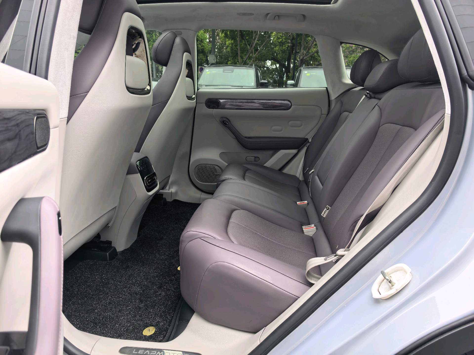 Leapmotor 2023 C11 285 Smart Edition