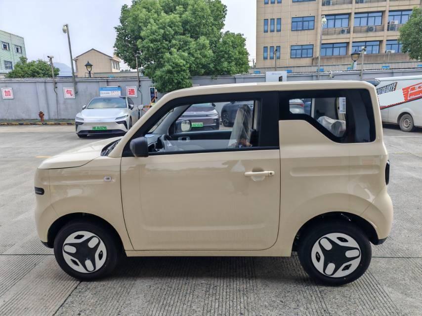 Geely 2025 Panda Mini 210km Yuanqi Bear