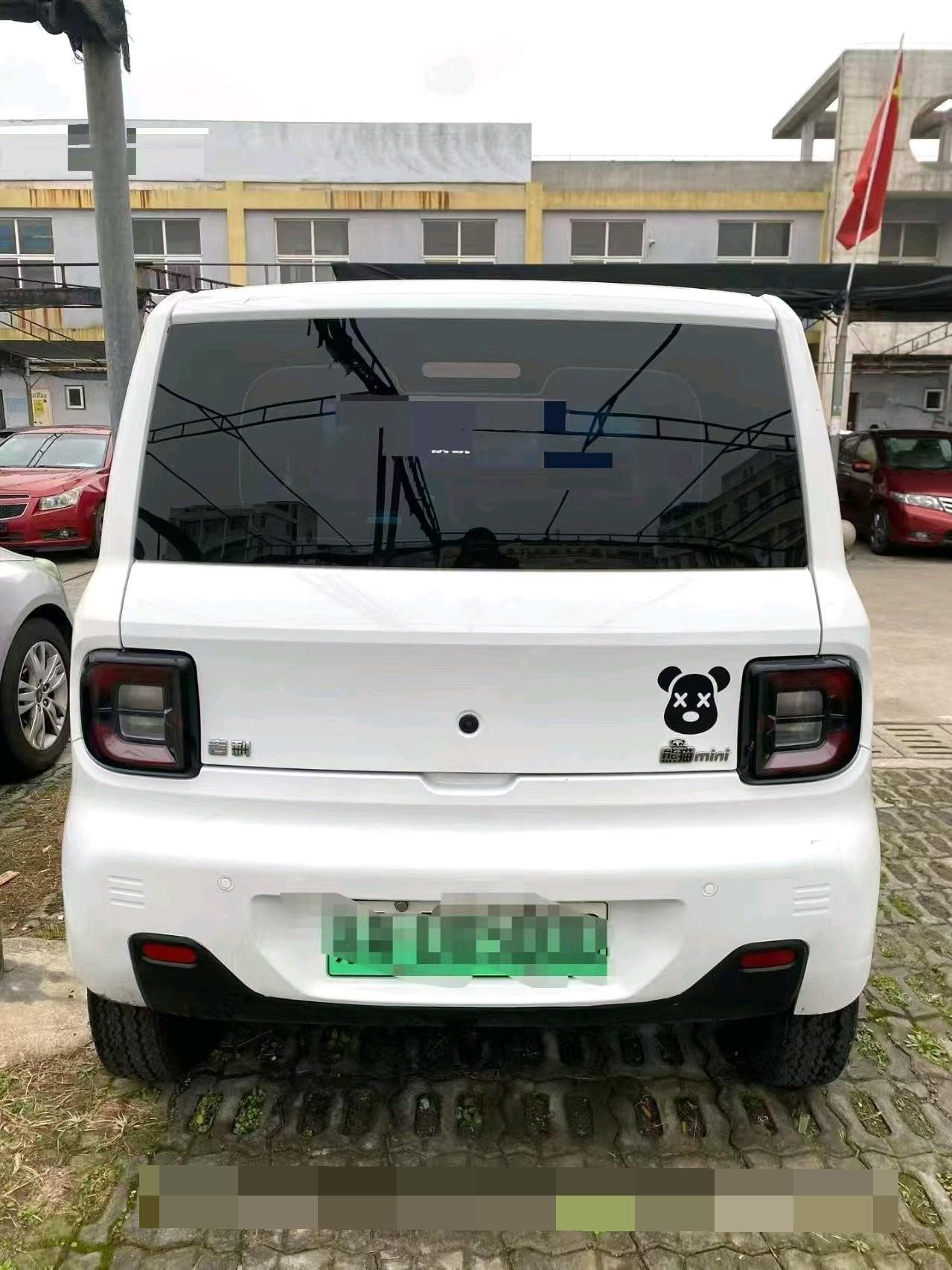 Geely 2023 Panda Mini 200km Endurance Bear