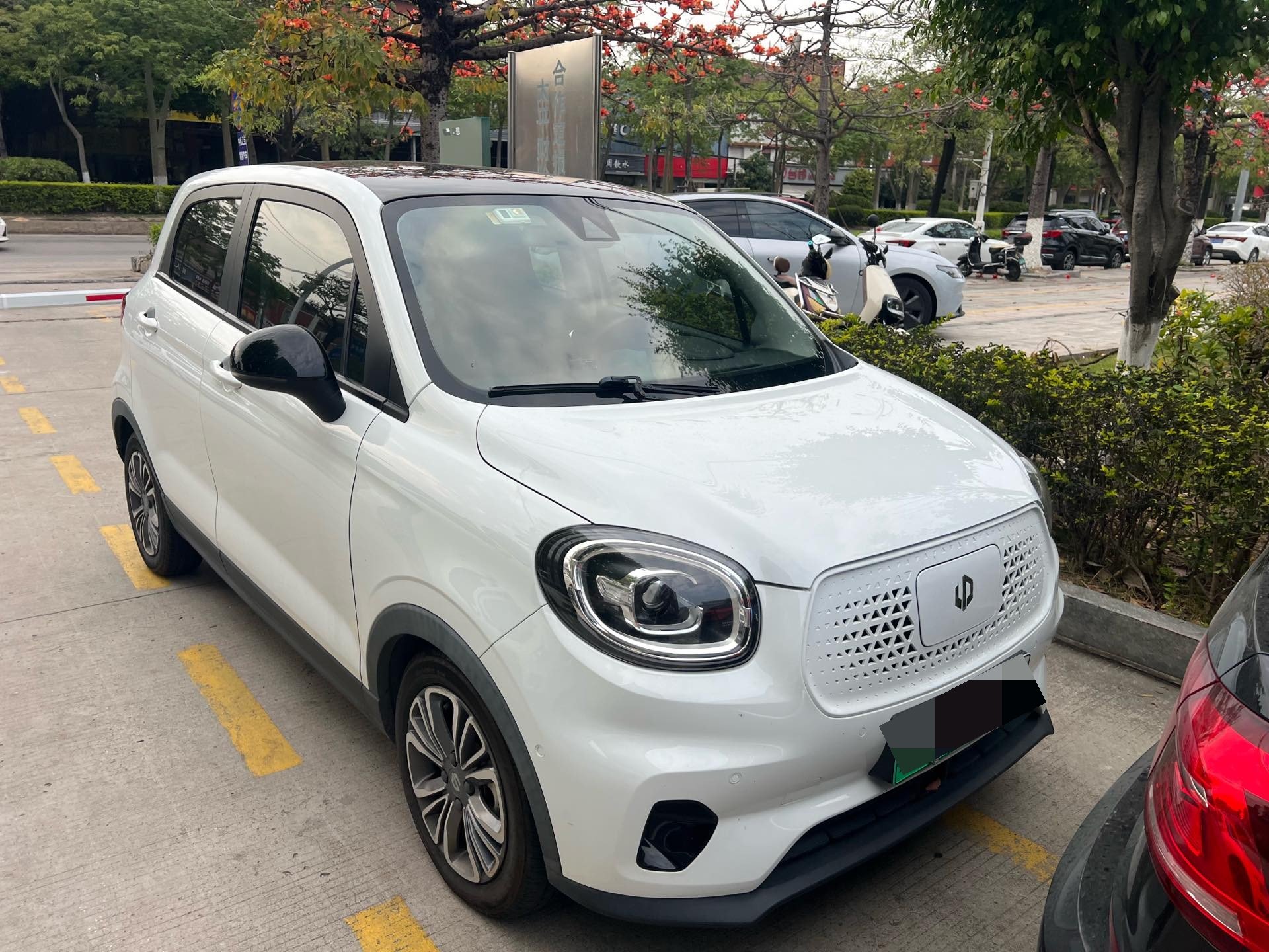 Leapmotor 2020 T03 400 Luxury