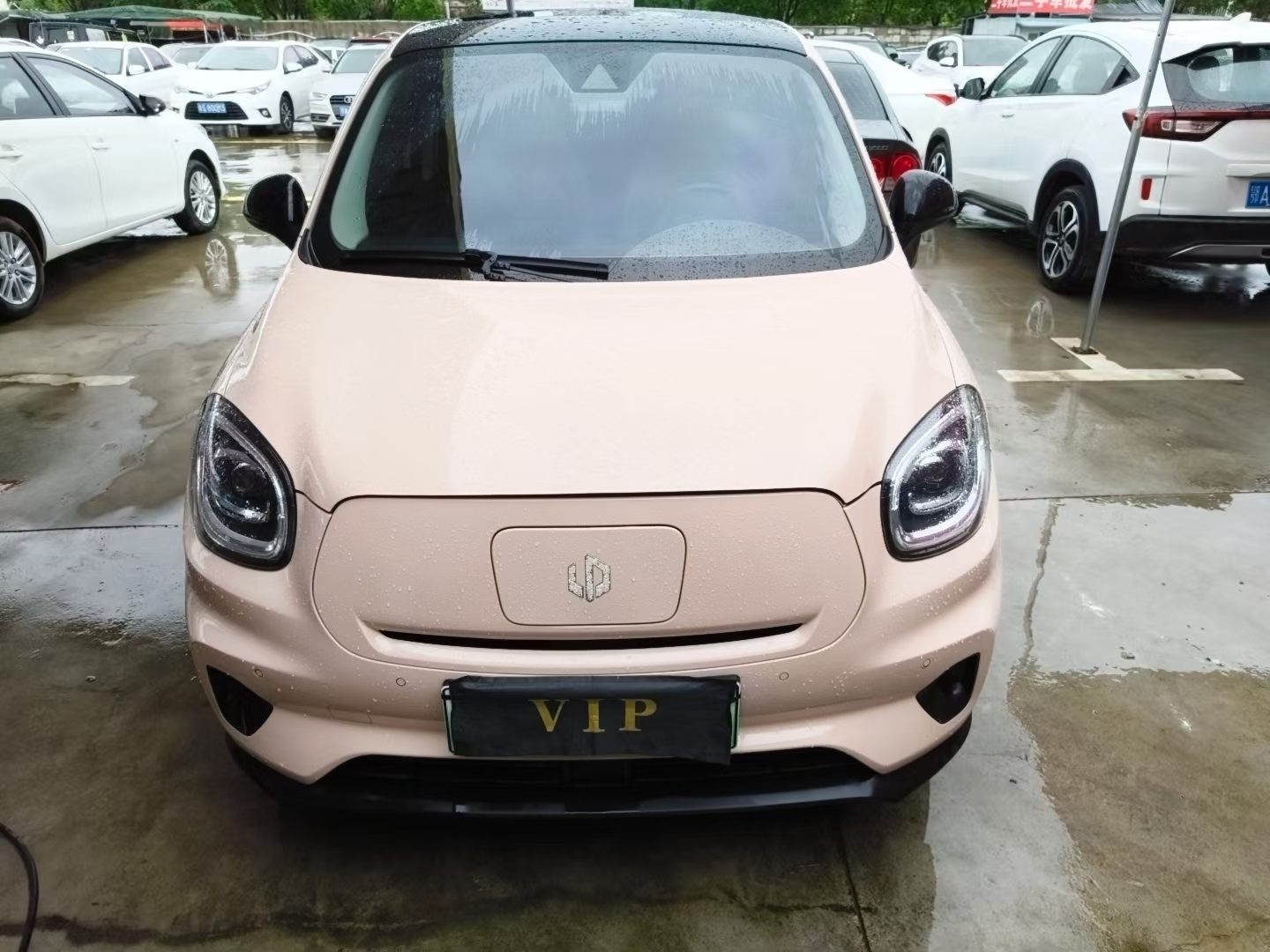 Leapmotor 2022 T03 Special Edition