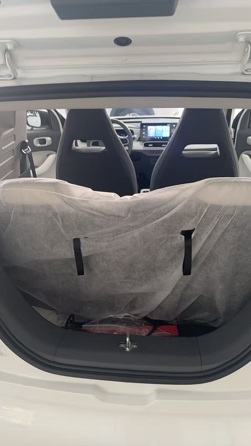 Geely 2025 Panda Mini 210km Yuanqi Xiong
