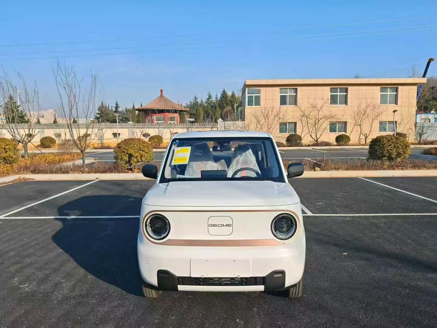 吉利 2024款 熊猫MINI 200km 耐力熊